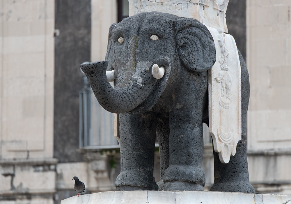 elephant made of lava in the middle of Piazza Duomo, the symbol of Catania