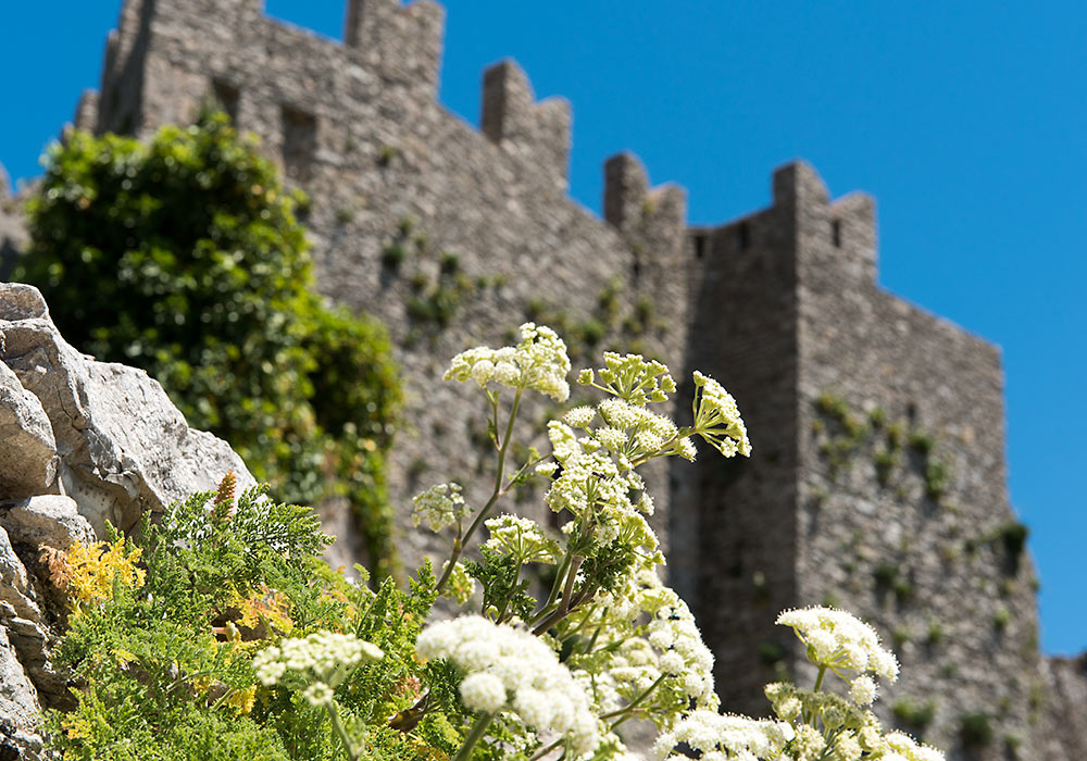 Erice castello