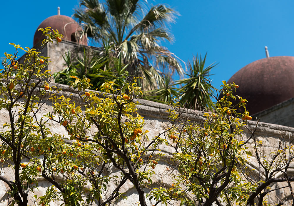 The cloister at San Giovanni degli Eremiti, Palermo.