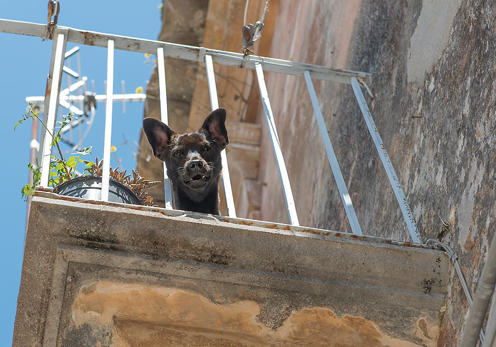 Sicily: Ragusa Ibla