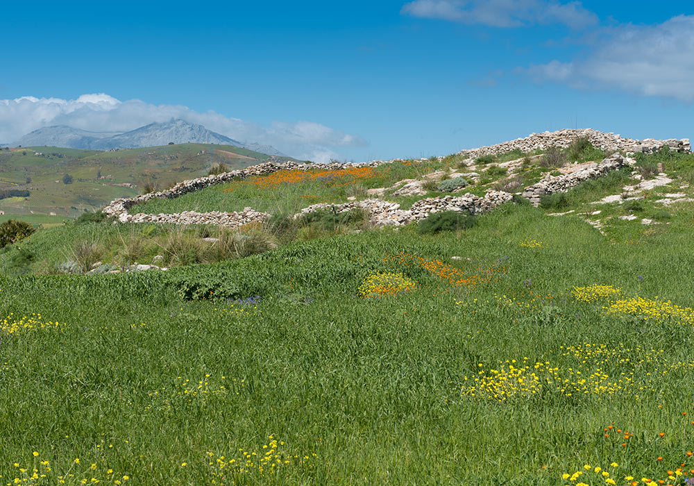 Segesta ruiner