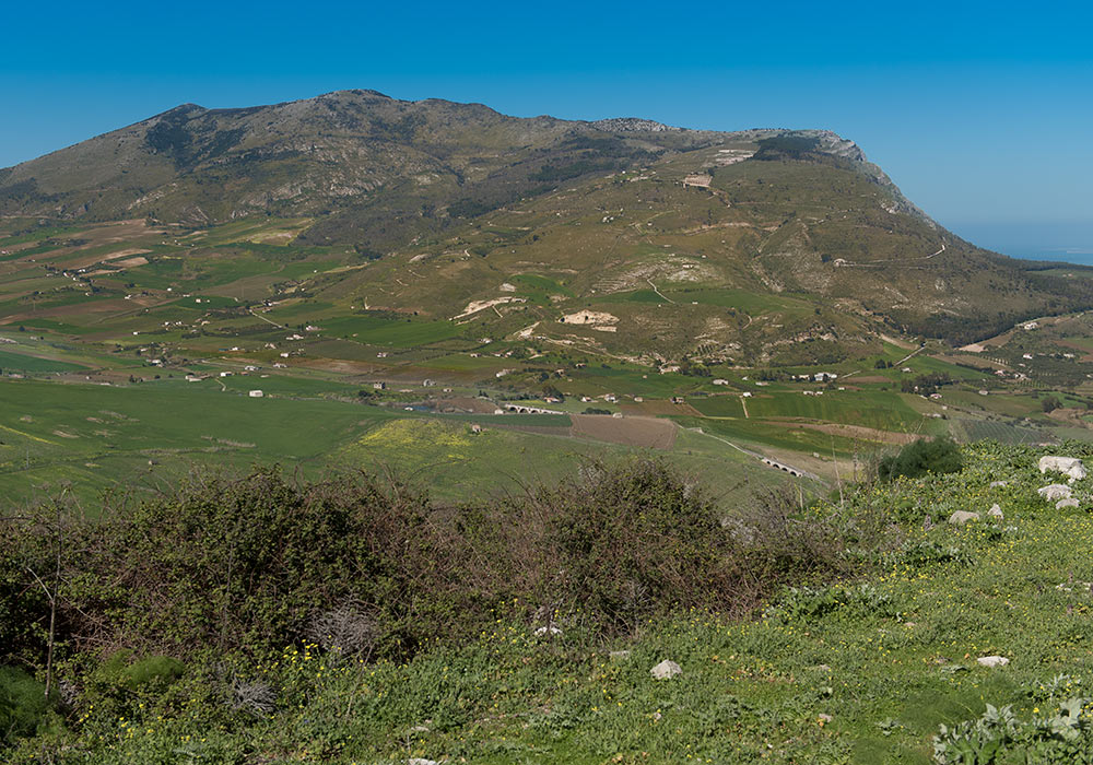 Segesta view