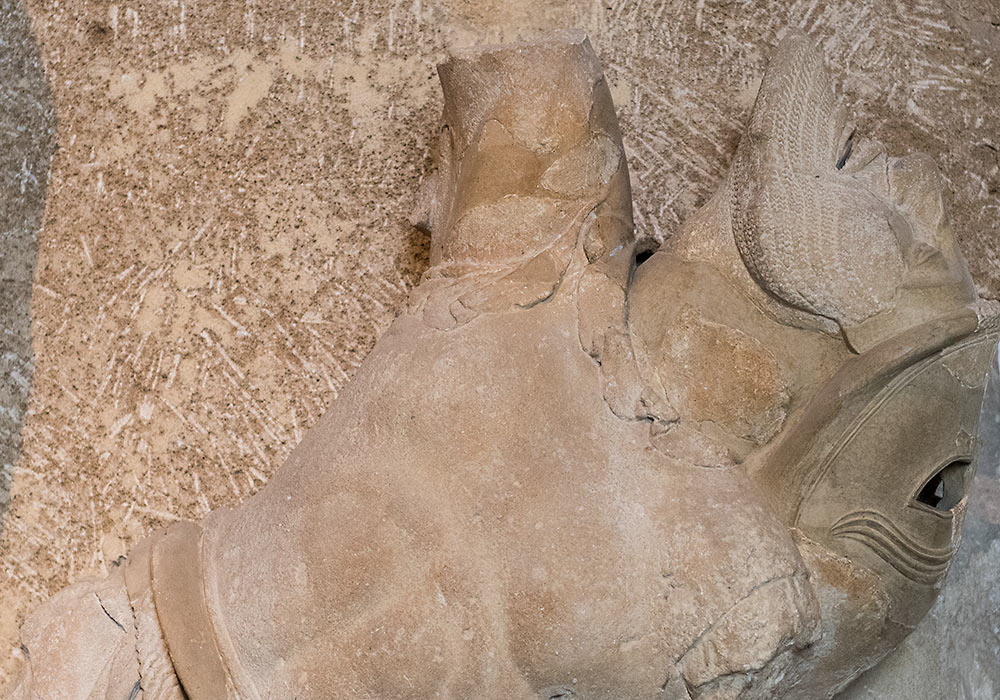 Selinunte, Temple F (490-480BC): Fragment of a metope showing a dead giant. Archeological Museum, Palermo. 