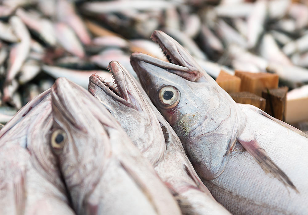 Fish market in Trapani.