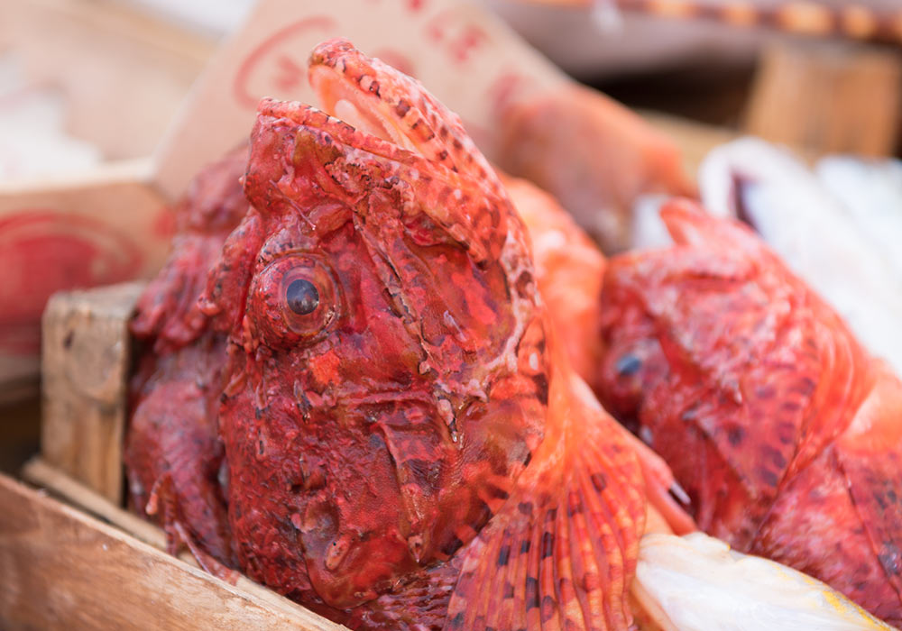 fish on fishmarket in Trapani