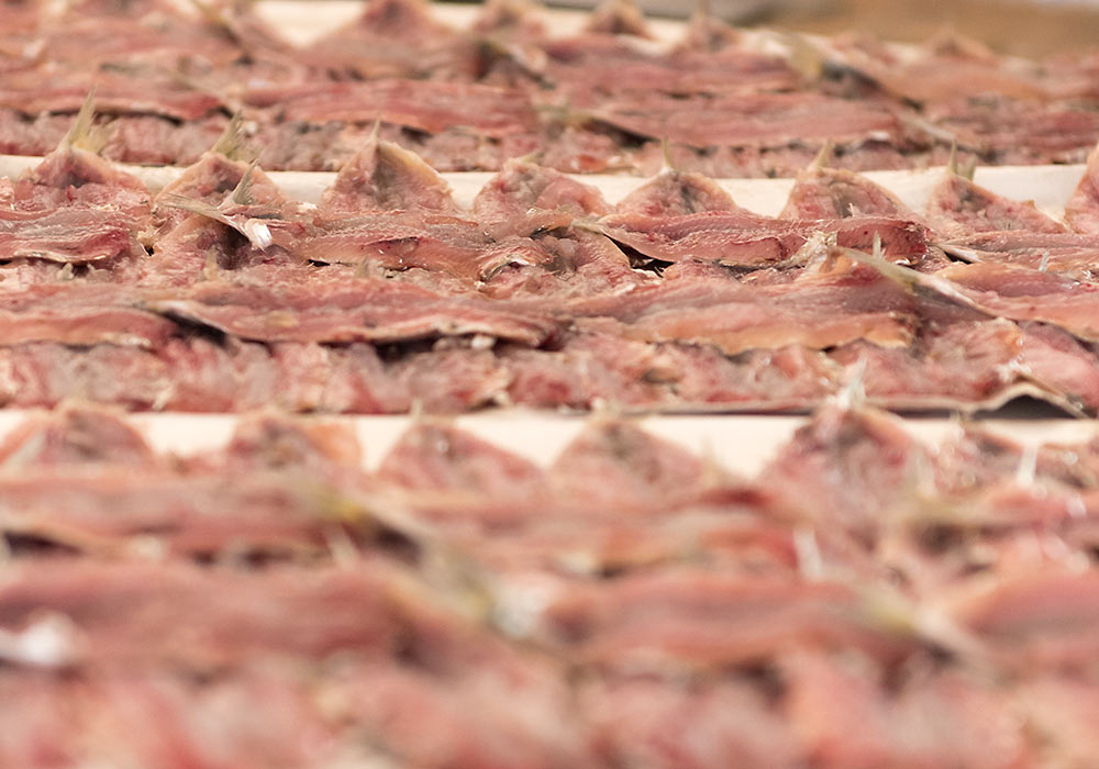 Fish market in Trapani.