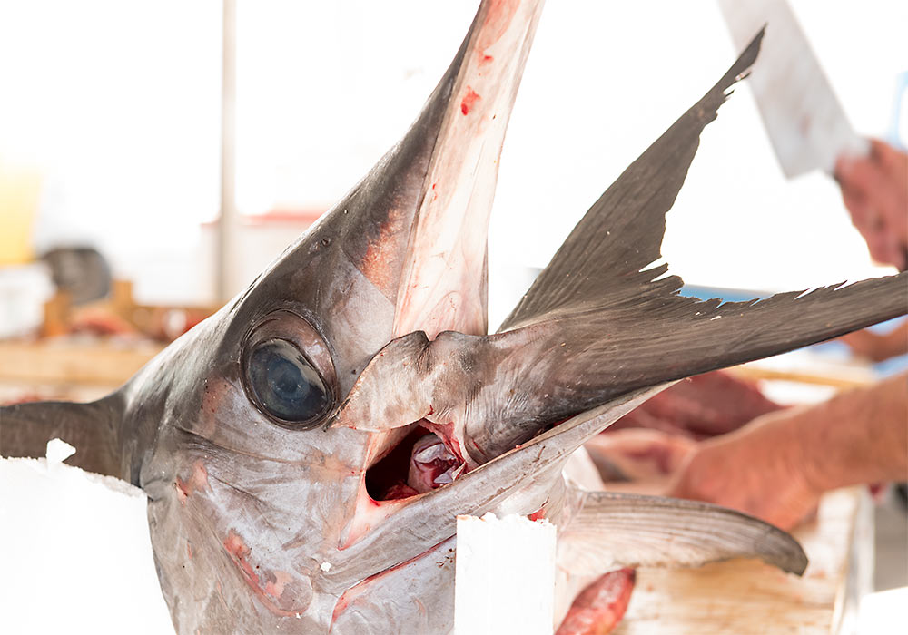 Fish market in Trapani.