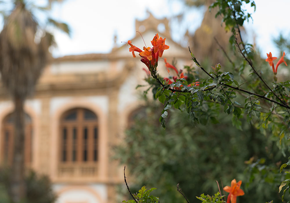 the garden of Villa Palagonia