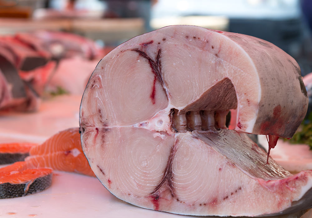 Swordfish at the fish market in Catania