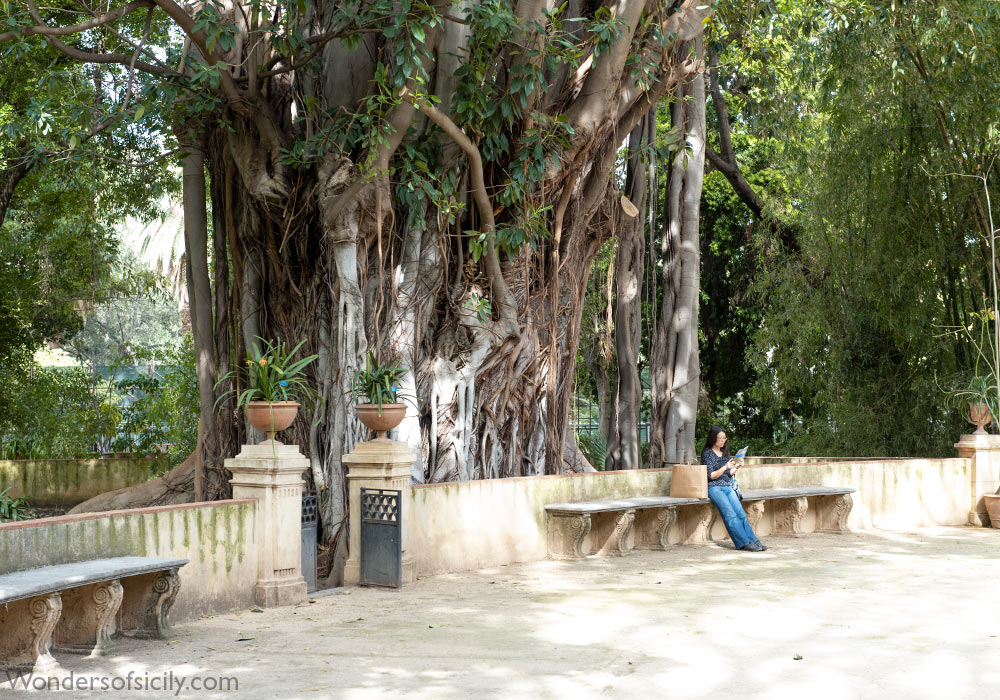 Orto botanico, Palermo Botanical Garden