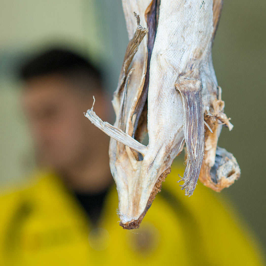 Stockfish