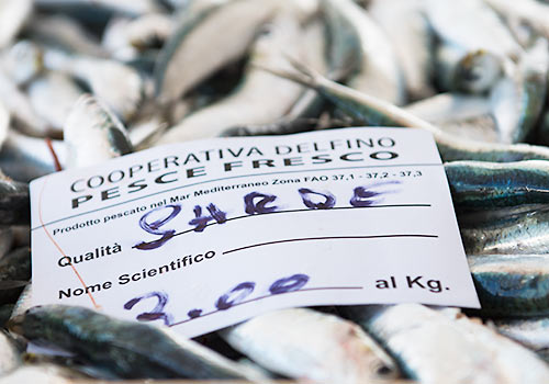 Sarde (sardines), fish market in Trapani