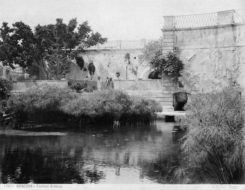 Fontana Aretusa, Siracusa. Photo by Carlo Brogi